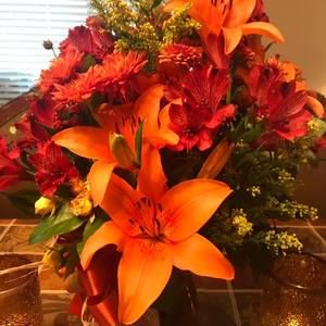 Meet your Posher, Tammie